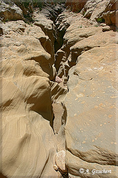 Aufgerissenes Flussbett